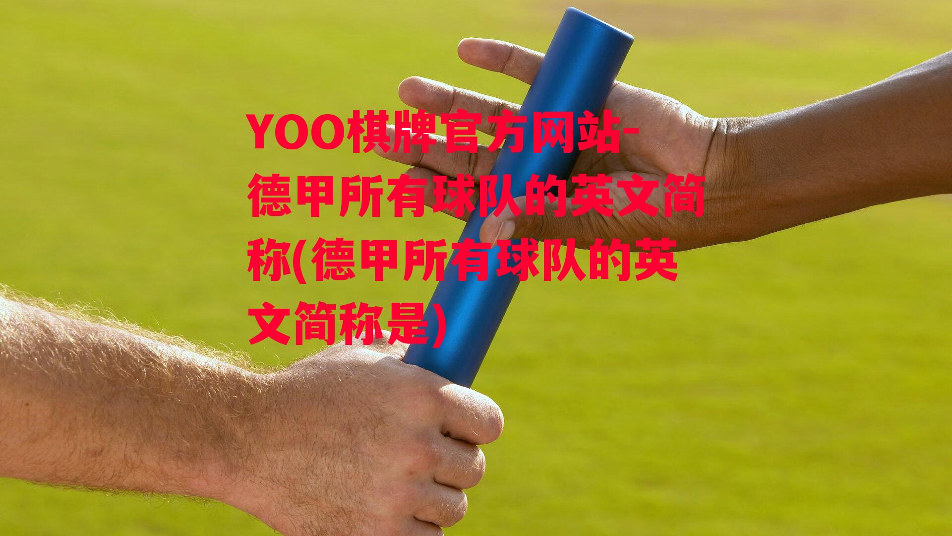 YOO棋牌官方网站-德甲所有球队的英文简称(德甲所有球队的英文简称是)